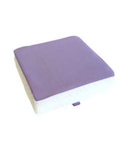 Icare Memory Foam High Profile Cushion