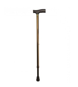 Days T-Handled Walking Stick