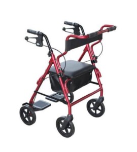 Days 2-in-1 Seat Walker/Wheelchair