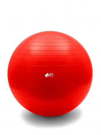 Fitness Exercise Ball - 55cm