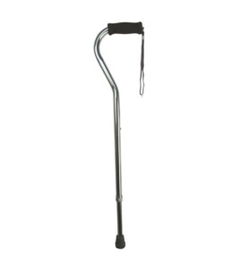 Days Swan Handled Walking Stick