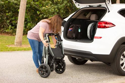 Zippie Voyage 11 Zippie Voyage