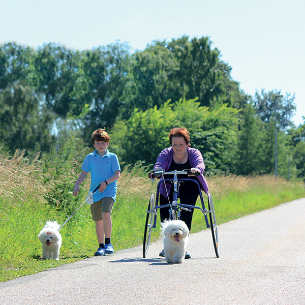 Petra Frame Runner 3 Petra Frame Runner