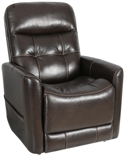 Theorem Quad Motor with Head & Lumbar Ealing Theorem Ealing Lift Chair (Quad Motor)