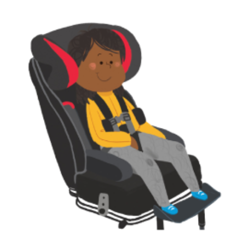 ILS Kids categories 5