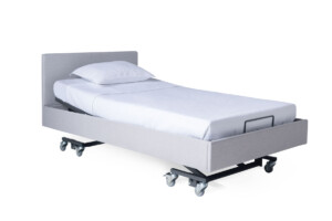 All Categories 5